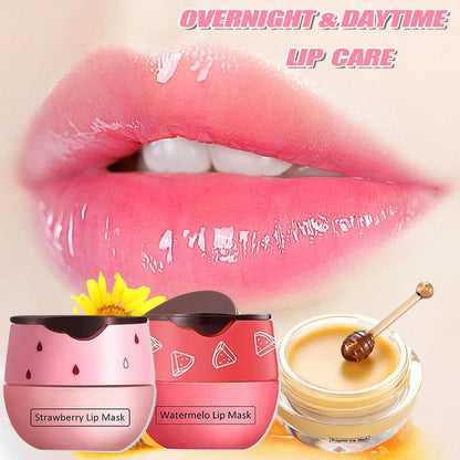 4 Pcs Set-Bee Lip Balm Moisturizing Lip Mask, Day and Night Tinted Sleeping Lip Balm,Hydrating Lip Scrubs Exfoliator & Moisturizer